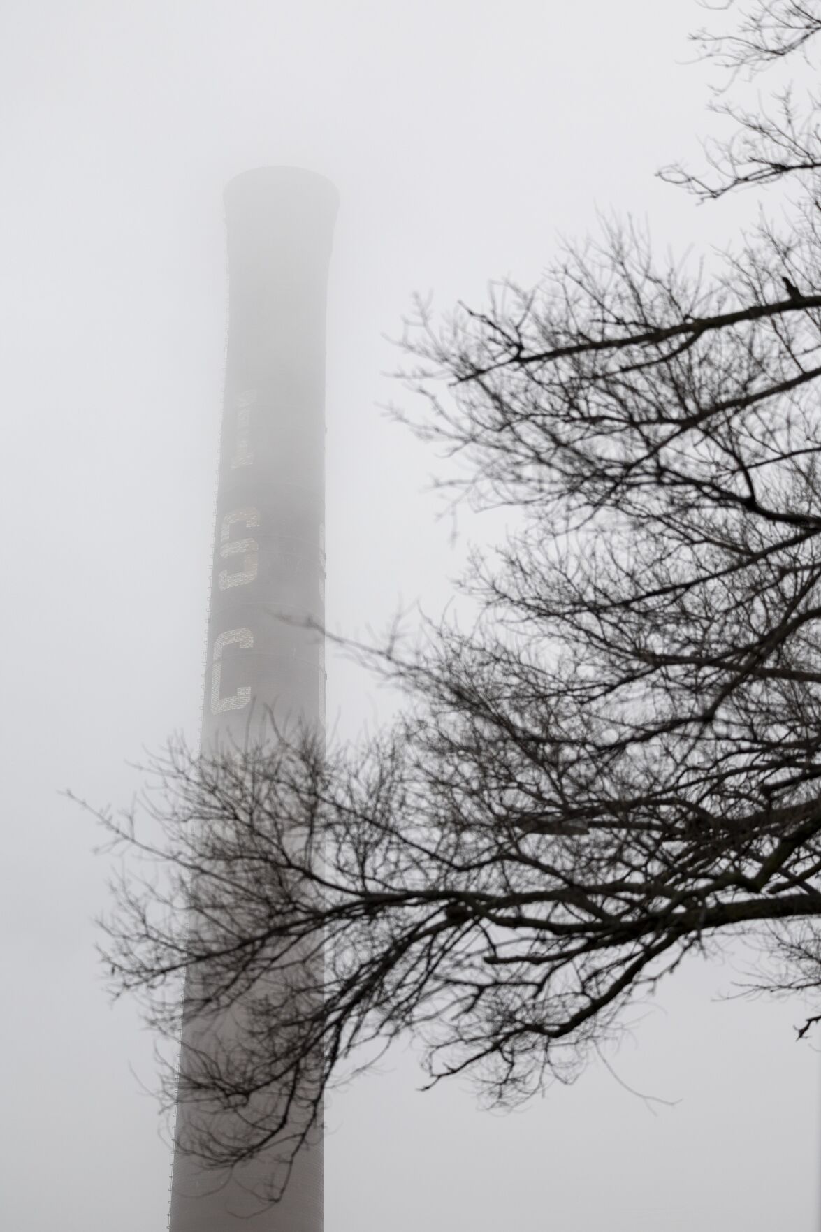 Rain brings fog to downtown 51黑料